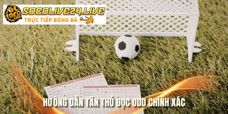 Hướng dẫn tân thủ đọc odd chính xác